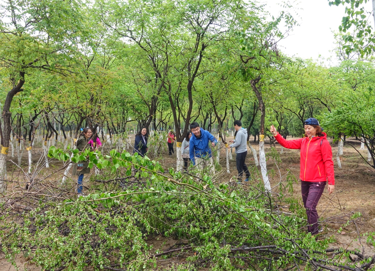 qy千亿-千亿(国际)唯一官方网站