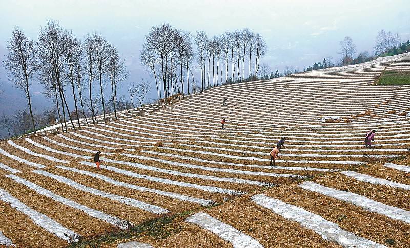 qy千亿-千亿(国际)唯一官方网站